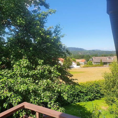 Appartement Albblick à Bad Herrenalb Extérieur photo